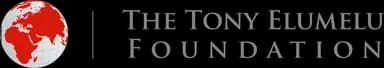 Tony Elumelu Foundation